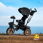 TRICICLO PASEADOR MUSICAL