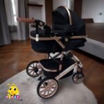 COCHE MOISES DE LUJO BRIONI