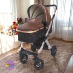 COCHE TIPO MOISES BENNETT