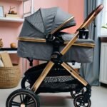 COCHE MOISES MALINO CON MANIJA REVERSIBLE